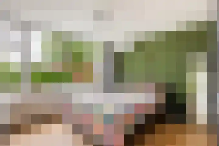 Fagellaan 33 Woerden thumbnail 26