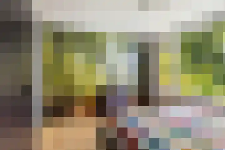 Fagellaan 33 Woerden thumbnail 28