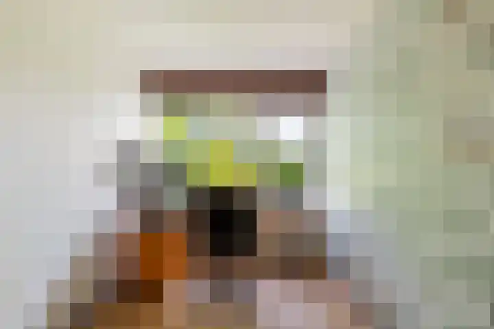 Fagellaan 33 Woerden thumbnail 29