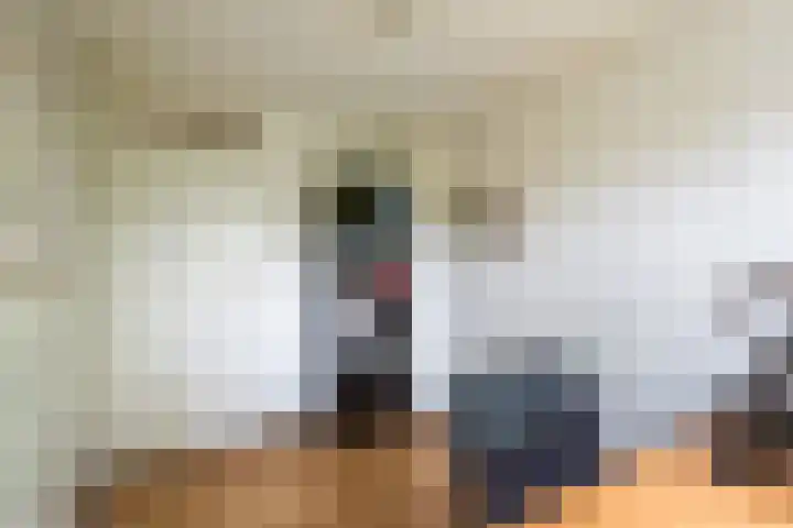 Fagellaan 33 Woerden thumbnail 30