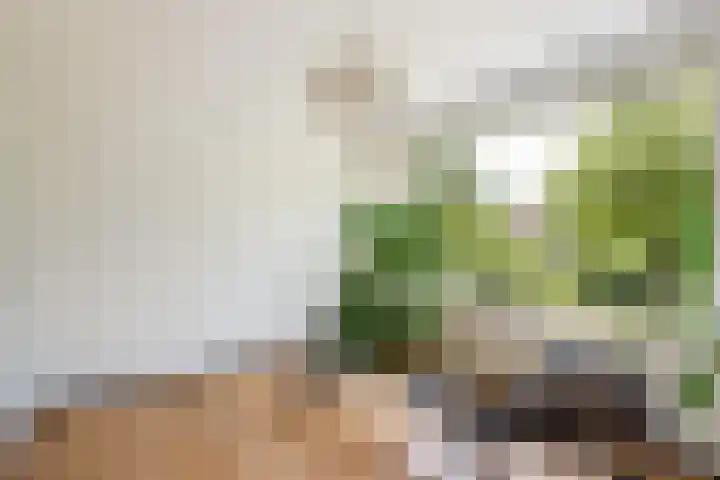 Fagellaan 33 Woerden thumbnail 31
