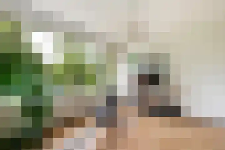 Fagellaan 33 Woerden thumbnail 32