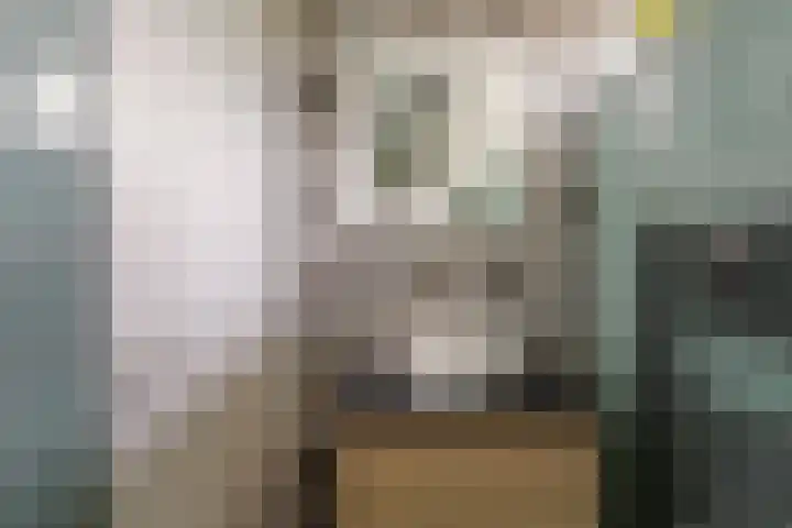 Fagellaan 33 Woerden thumbnail 34