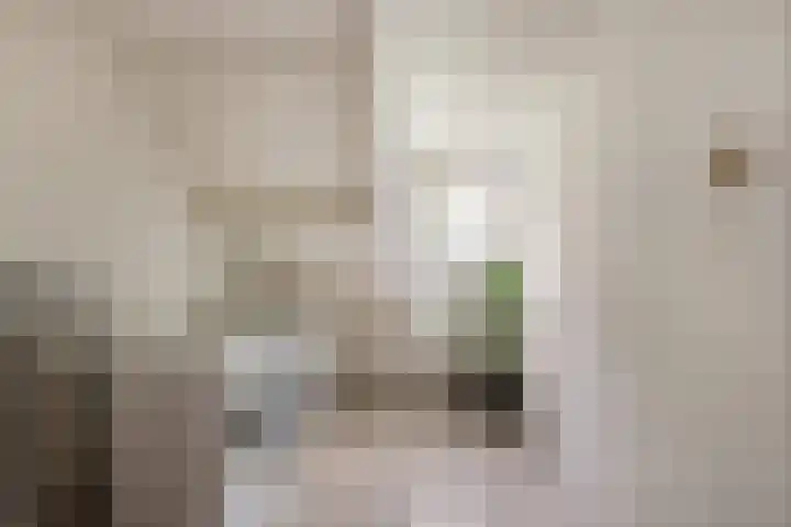 Fagellaan 33 Woerden thumbnail 36