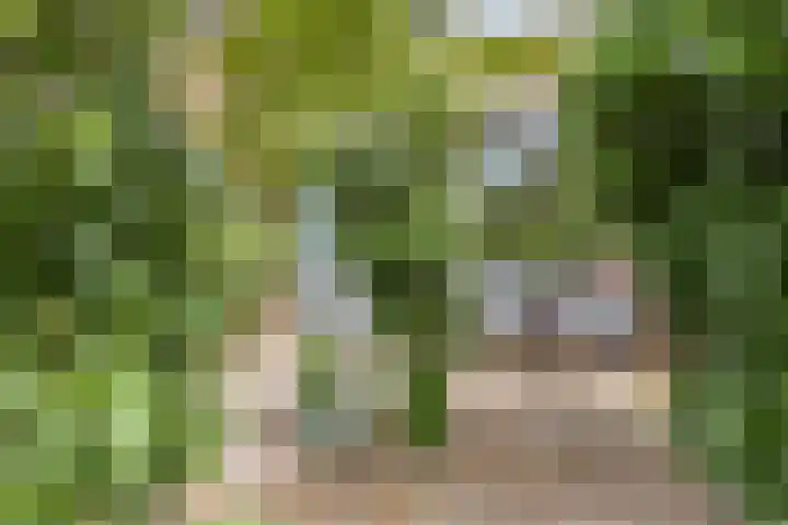 Fagellaan 33 Woerden thumbnail 4