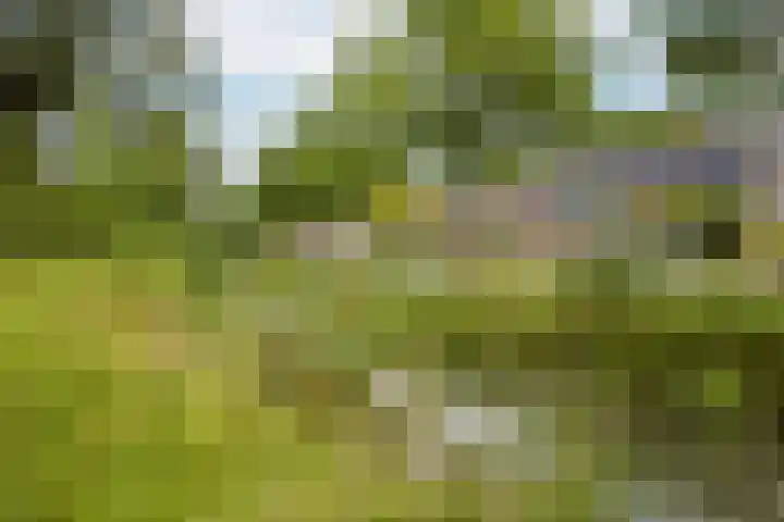 Fagellaan 33 Woerden thumbnail 40