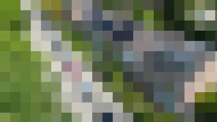 Fagellaan 33 Woerden thumbnail 41