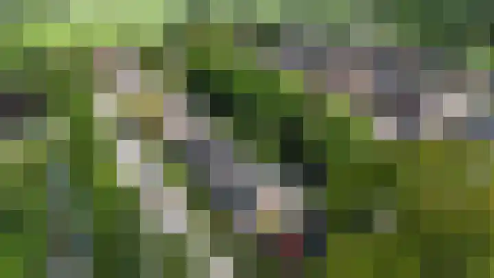 Fagellaan 33 Woerden thumbnail 43