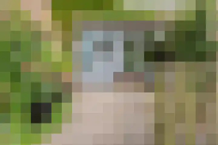 Fagellaan 33 Woerden thumbnail 5