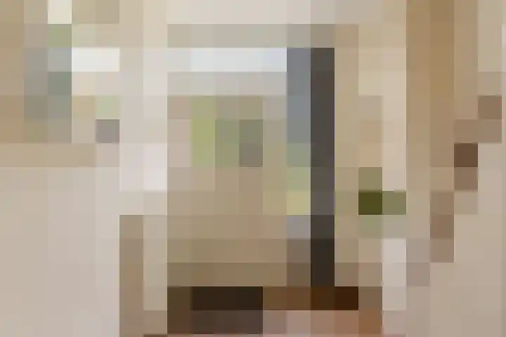 Fagellaan 33 Woerden thumbnail 8