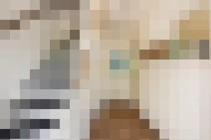 Fagellaan 33 Woerden thumbnail 9