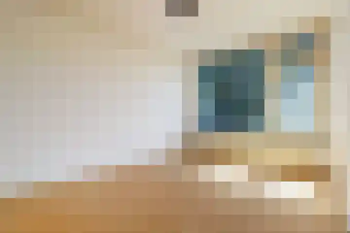 Fagelstraat 1 Oosterhout thumbnail 5