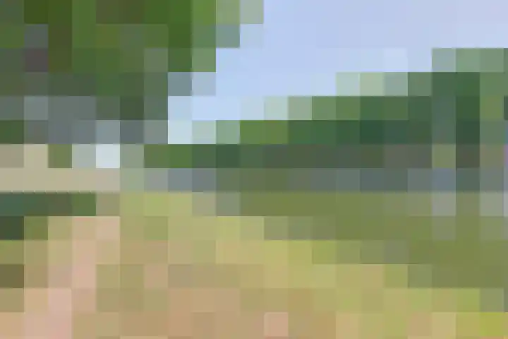Fagelstraat 1 Oosterhout thumbnail 6