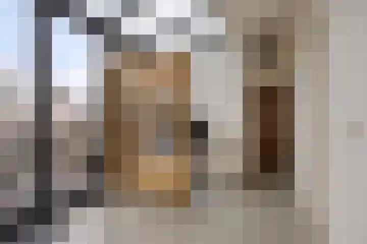 Fagelstraat 12 Nijmegen thumbnail 22