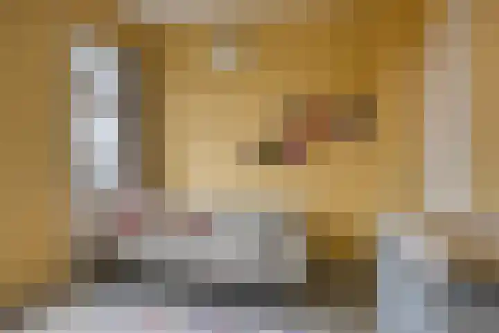 Fagelstraat 12 Nijmegen thumbnail 32