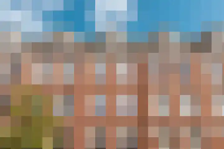 Fagelstraat 20 4 Amsterdam thumbnail 29