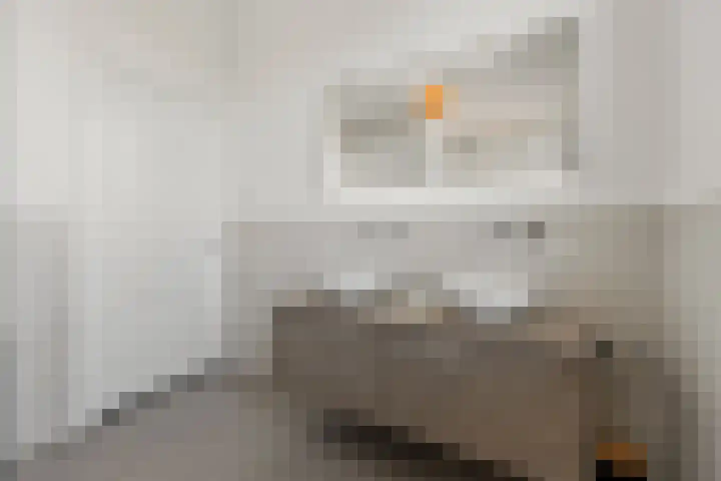 Fagelstraat 20 Nijmegen thumbnail 4