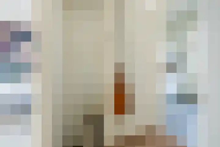 Fagelstraat 22 Nijmegen thumbnail 38
