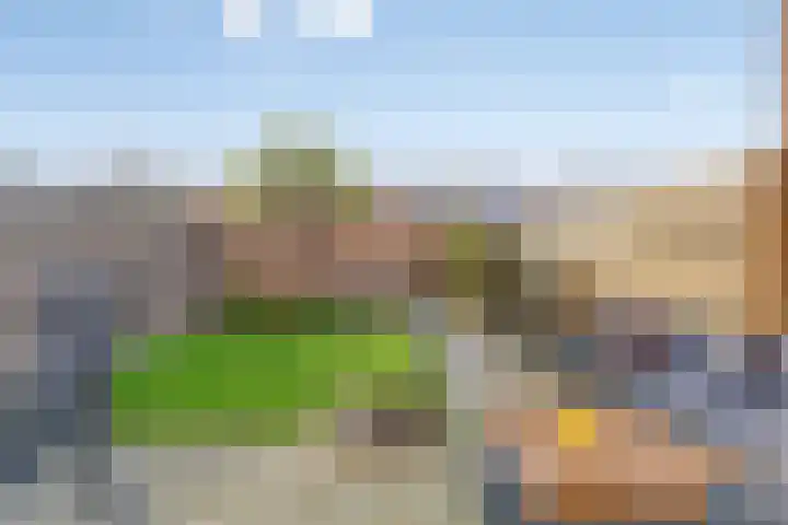 Fagelstraat 24 Breda thumbnail 31