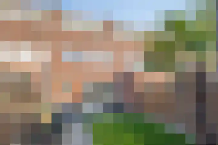 Fagelstraat 24 Breda thumbnail 33