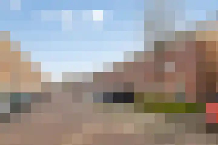 Fagelstraat 24 Breda thumbnail 34