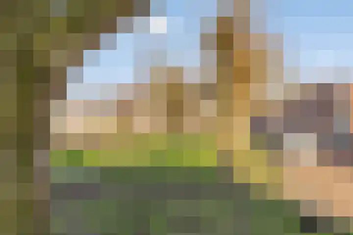 Fagelstraat 24 Breda thumbnail 35