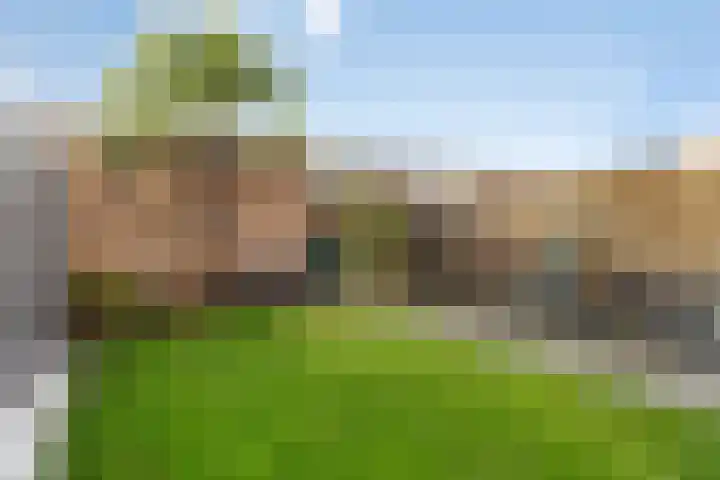 Fagelstraat 24 Breda thumbnail 4