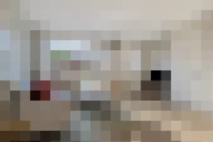 Fagelstraat 24 Breda thumbnail 8