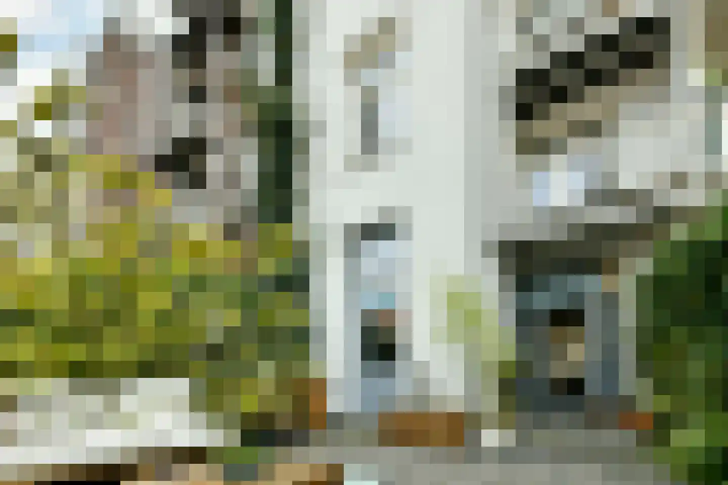 Fagelstraat 24 H Amsterdam thumbnail 10