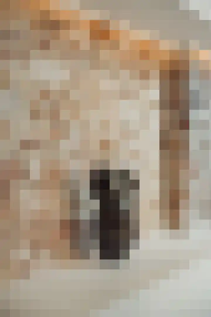 Fagelstraat 30 1 Amsterdam thumbnail 10