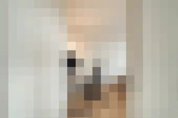 Fagelstraat 30 1 Amsterdam thumbnail 17