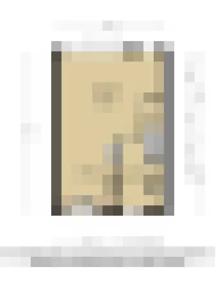 Fagelstraat 36 Breda thumbnail 36