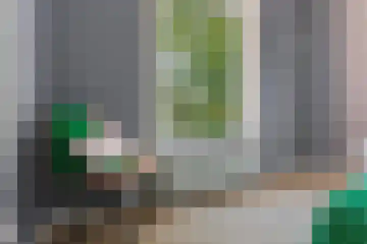 Fagelstraat 4 Nijmegen thumbnail 17
