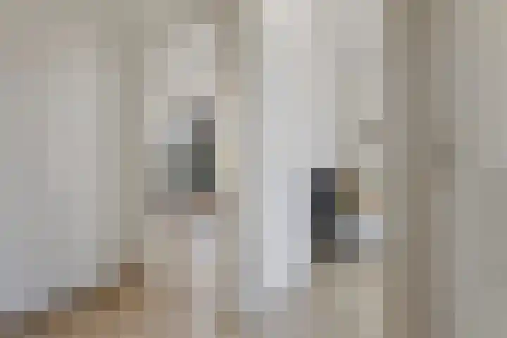 Fagelstraat 4 Nijmegen thumbnail 18