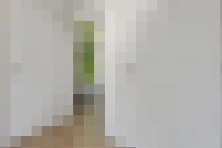 Fagelstraat 4 Nijmegen thumbnail 19