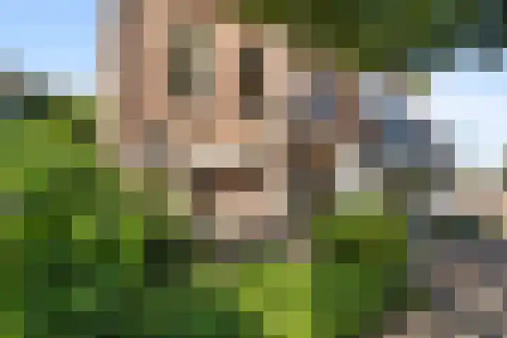 Fagelstraat 4 Nijmegen thumbnail 31