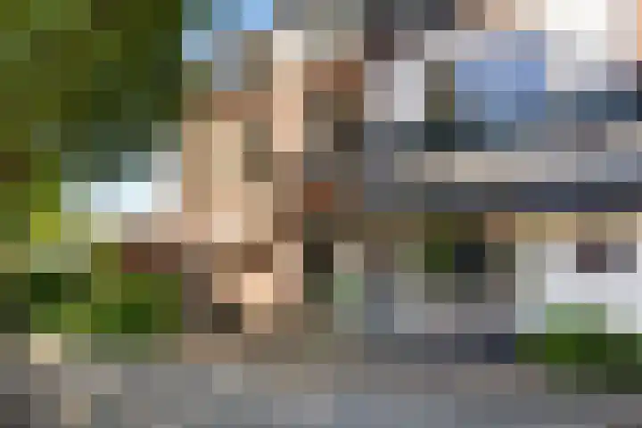 Fagelstraat 4 Nijmegen thumbnail 33