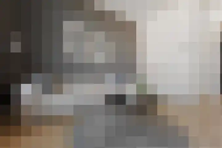 Fagelstraat 4 Nijmegen thumbnail 5