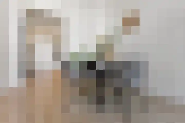 Fagelstraat 4 Nijmegen thumbnail 6
