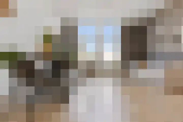 Fagelstraat 4 Nijmegen thumbnail 7