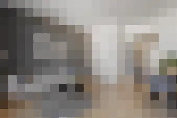 Fagelstraat 4 Nijmegen thumbnail 9