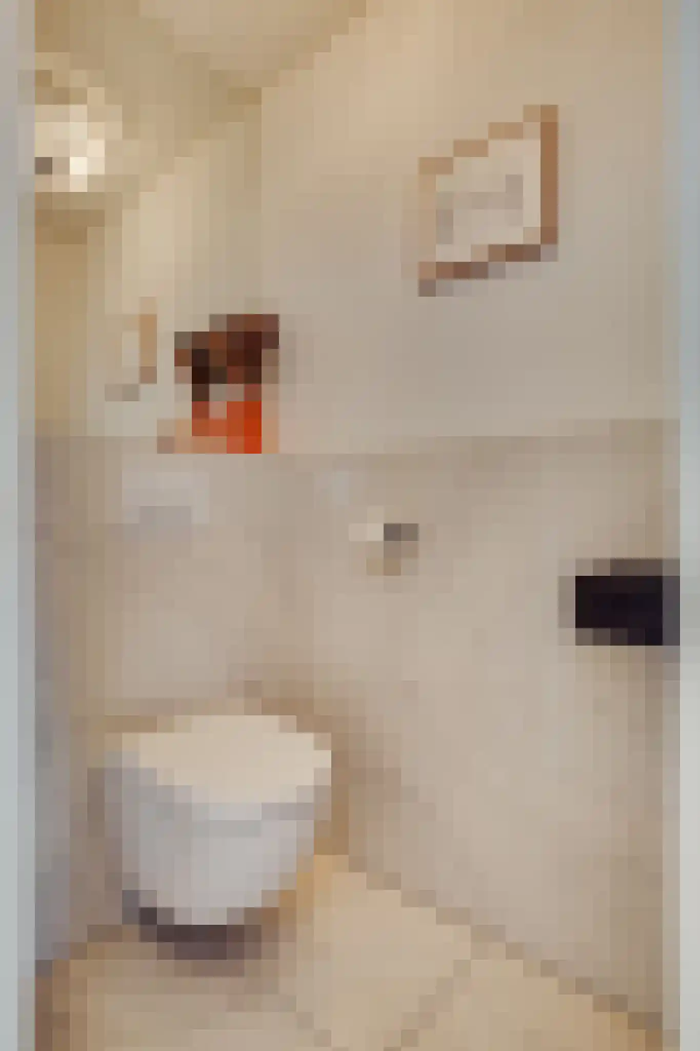 Fagelstraat 42 3 Amsterdam thumbnail 25