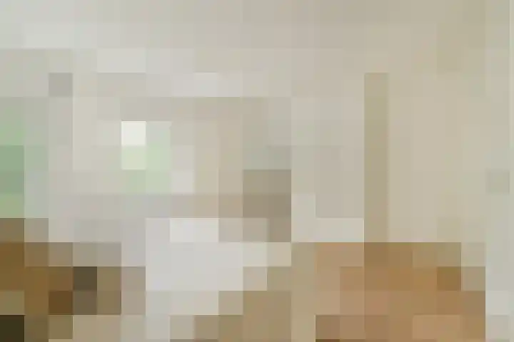 Fagelstraat 57 1 Amsterdam thumbnail 15
