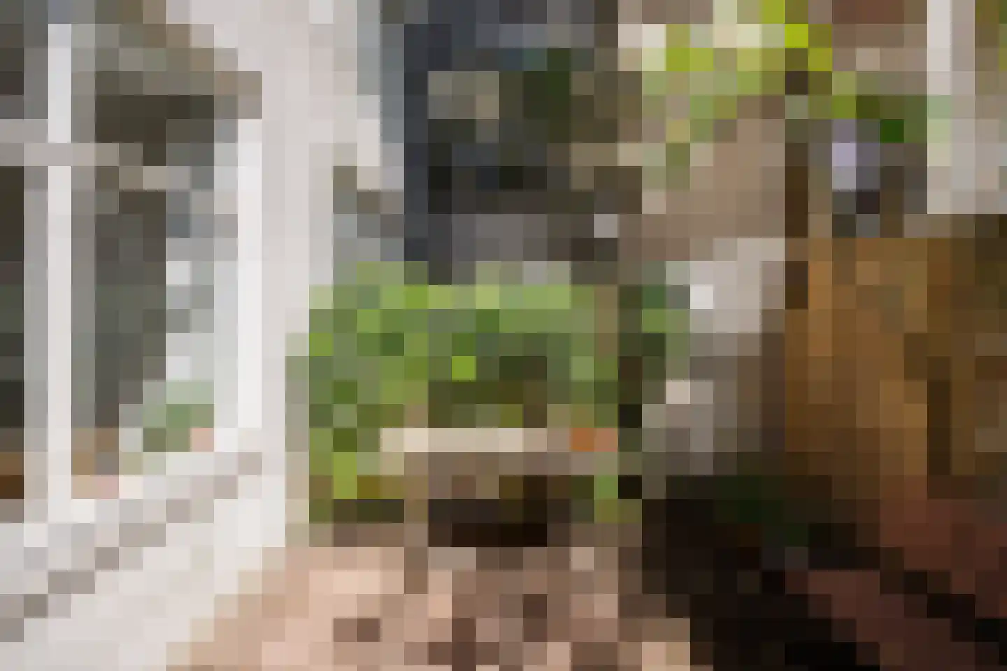 Fagelstraat 57 1 Amsterdam thumbnail 6