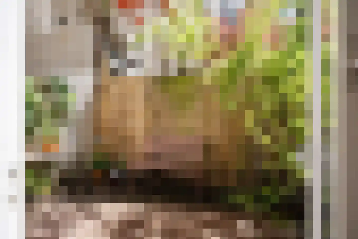 Fagelstraat 57 1 Amsterdam thumbnail 7