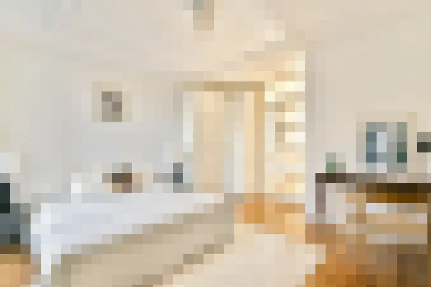 Fagelstraat 6 2 Amsterdam thumbnail 15