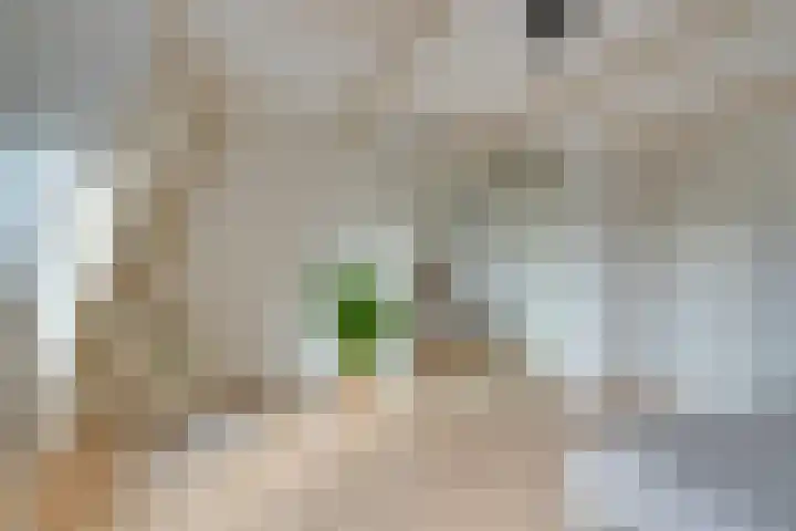 Fagelstraat 6 2 Amsterdam thumbnail 17