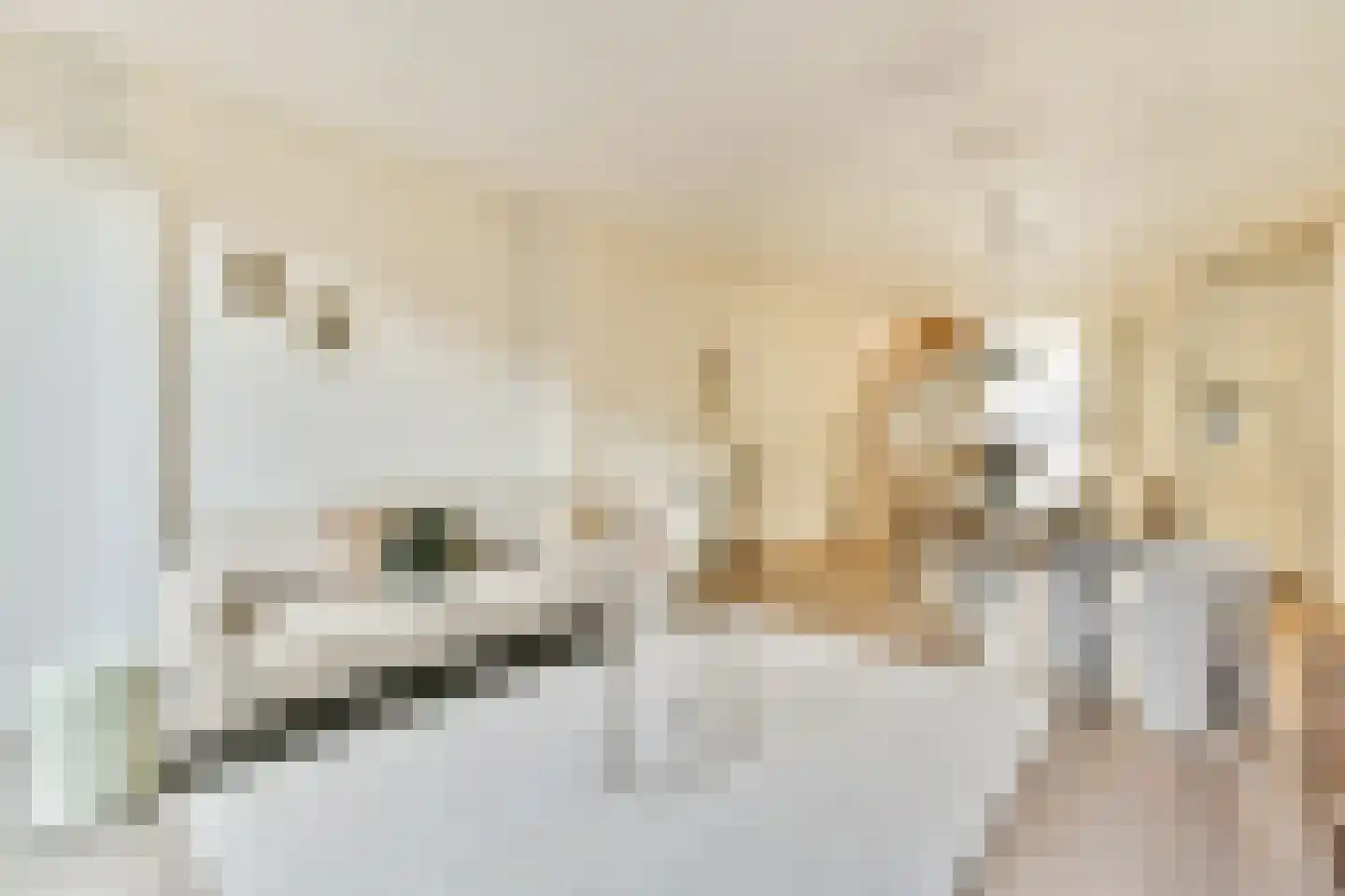 Fagelstraat 6 3 Amsterdam thumbnail 9