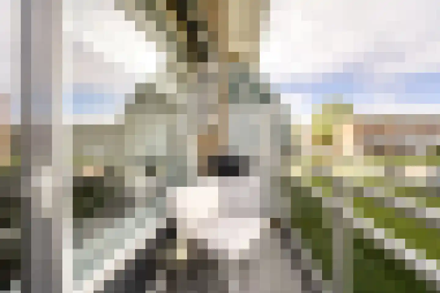 Fagelstraat 60 Katwijk thumbnail 4