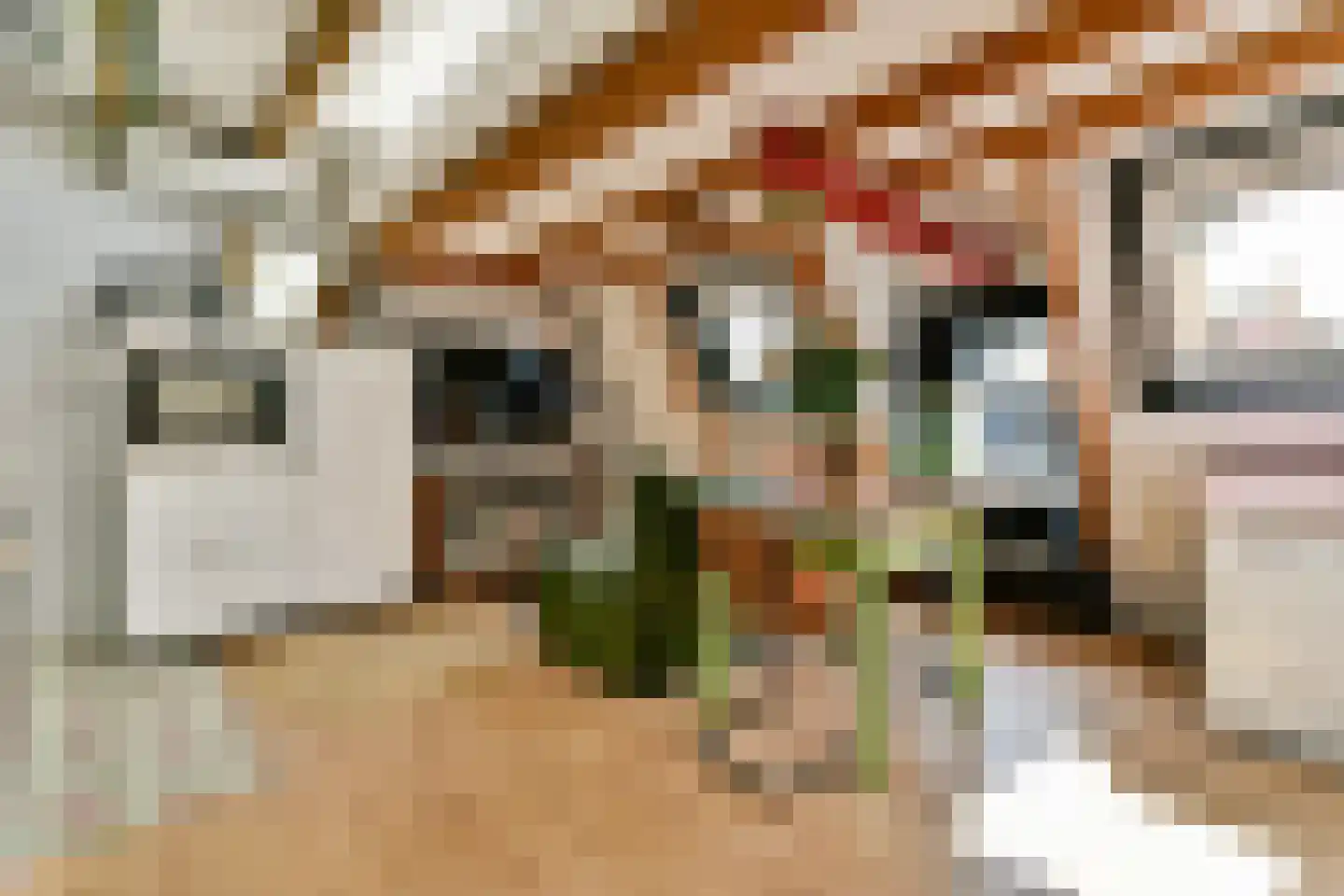 Fagelstraat 68 2 Amsterdam thumbnail 6